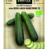 Pepino medio largo Marketmore 70