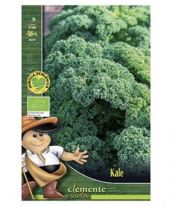semillas de kale